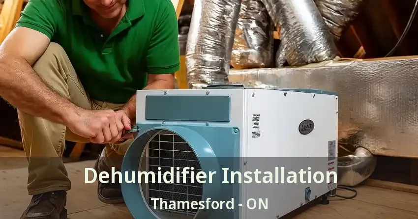 Dehumidifier Installation Thamesford - ON