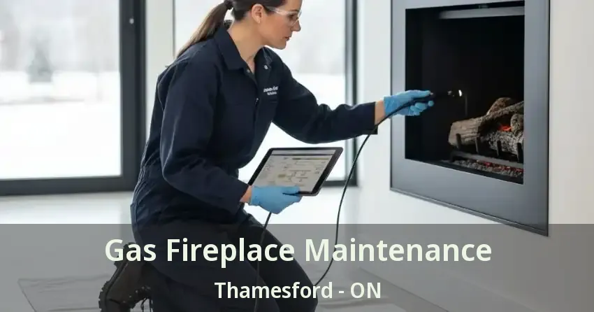 Gas Fireplace Maintenance Thamesford - ON